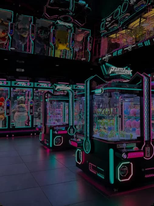 Amusement ride professional: Soft Play